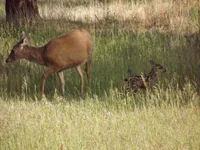 DSCF5650.webp