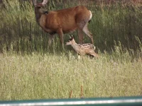 DSCF5651.webp