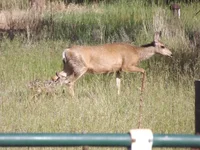 DSCF5652.webp