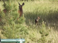DSCF5653.webp