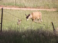 DSCF5656.webp