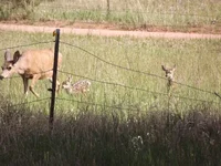 DSCF5657.webp