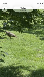 IMG_7566.webp
