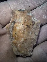 image000000 (3).webp