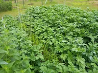 IMG_20260625_072637756.webp