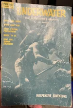 Diving2.webp