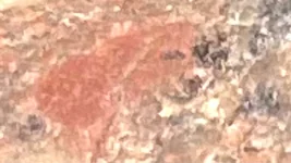 B4C21195-3F09-4BB7-A1F2-2AACBB13D542.webp