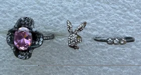 Two rings and an earring.webp
