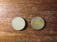Wheats Reverse 062826.webp Wheats Reverse 062826.webp