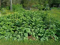 IMG_20260703_093554102.webp