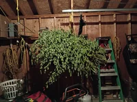 IMG_20260705_221933275.webp