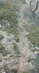Screenshot_20260707-195616.webp