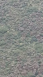 Screenshot_20260708-205828.webp