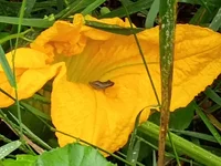 IMG_20260709_071604576.webp