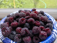 IMG_20260711_133716525_HDR.webp