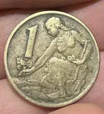 IMG_8800.webp