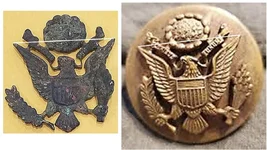 Comparison to N S Meyer.webp