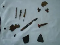 Beach Finds 016.webp