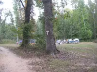 IMG_2758a.webp