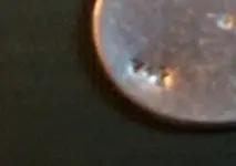 Unknown 3.webp