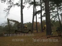 IMG_1824a.webp