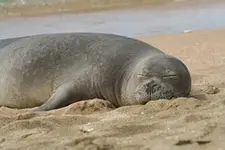sleep.webp