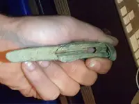 gun?3.webp