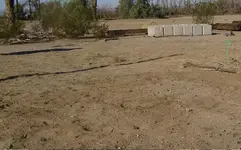 Old Ring Hunt 3.webp