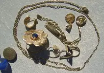 Old Ring Hunt 11.webp