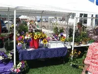 IMG_0122.webp