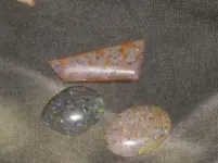 DSCN0210.webp