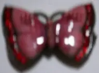 other rings,bracelet,butterfly 017-3.webp