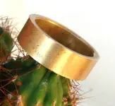 ring 6 nov sm.webp