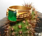 Green Gold Cactus sm 9 Nov.webp