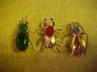 my bug 1.webp