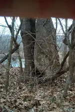 IM001790.webp