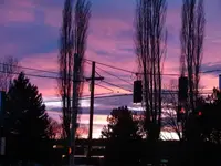 DSC02447.webp