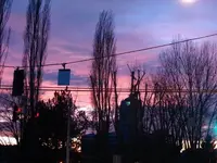 DSC02448.webp