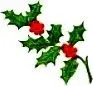 Holly-L.webp
