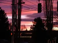 DSC02449.webp