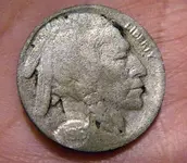 buffalo_123006B.webp