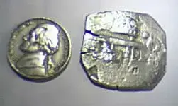 cob3.webp