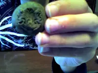 Snapshot_20081125.webp