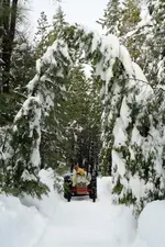 snow.webp