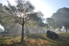 sunrays.webp