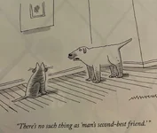 Cat vs. dog.webp