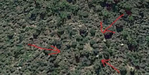 STONE RUIN CLUE.webp