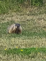 20260808_154430.webp