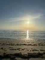 IMG_6239.webp