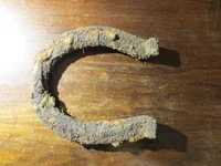 Horseshoe 082026.webp Horseshoe 082026.webp